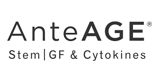 AnteAGE